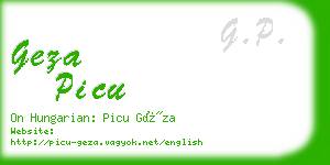 geza picu business card